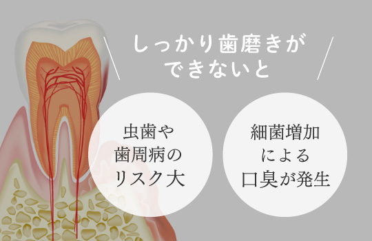 しっかり歯磨きが出来ないと→虫歯や歯周病のリスク大、細菌増加による口臭が発生